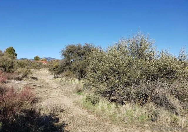 4th image of --, Anza, CA 92539 | MLS# 250044313SD