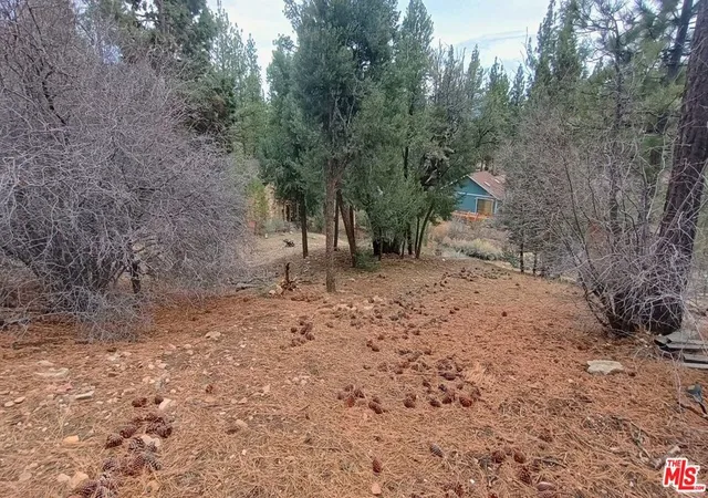 2nd image of 384 Cinderella Dr, Big Bear City, CA 92314 | MLS# 25621261