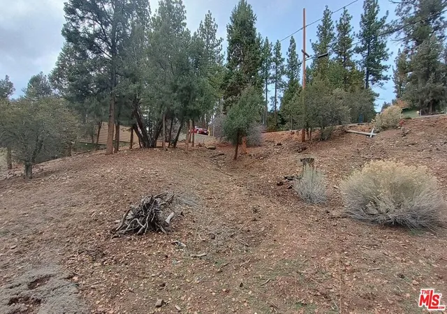 4th image of 384 Cinderella Dr, Big Bear City, CA 92314 | MLS# 25621261