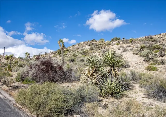 12th image of 57154 Buena Suerte Rd, Yucca Valley, CA 92284 | MLS# JT25264313