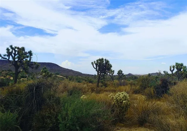 Photo 4 of Land for sale at 56200 Skyline Ranch Rd, Yucca Valley, CA 92284 | MLS# FR25265156 | Listing updated on 2026-02-27