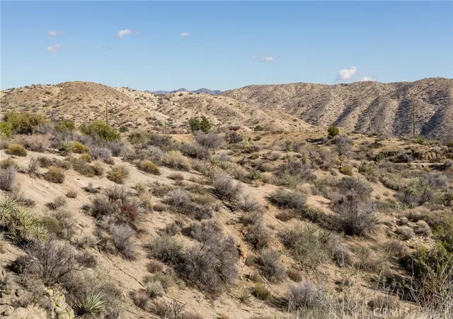 4th image of 0 Magnolia Dr, Morongo Valley, CA 92256 | MLS# JT25265391