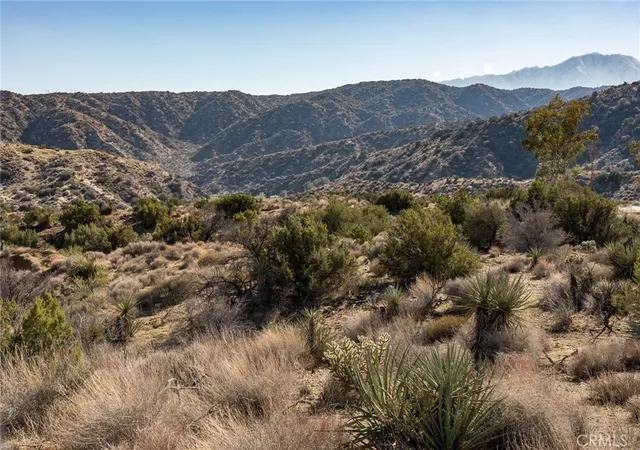 5th image of 0 Magnolia Dr, Morongo Valley, CA 92256 | MLS# JT25265391