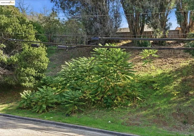 3rd image of 9670 Mountain Blvd, Oakland, CA 94605 | MLS# 41118105