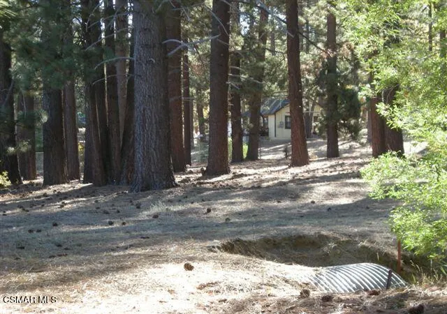 Photo 3 of Land for sale at 776 Knickerbocker Rd, Big Bear Lake, CA 92315 | MLS# 225005738 | Listing updated on 2025-11-24