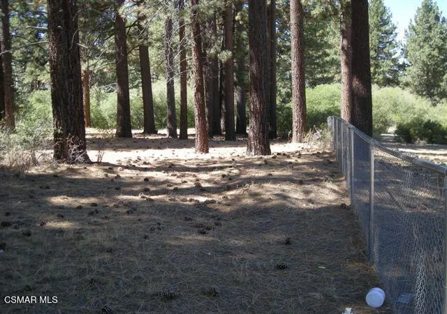 Photo 4 of Land for sale at 776 Knickerbocker Rd, Big Bear Lake, CA 92315 | MLS# 225005738 | Listing updated on 2025-11-24