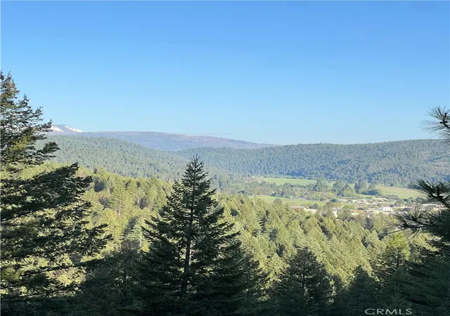 10th image of 390 E Main, Quincy, CA 95971 | MLS# SN25262994