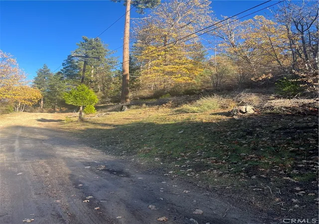 2nd image of 29834 Juniper Dr, Cedar Glen, CA 92321 | MLS# IG25266911