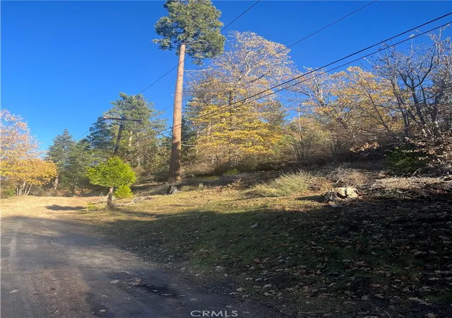 3rd image of 29834 Juniper Dr, Cedar Glen, CA 92321 | MLS# IG25266911
