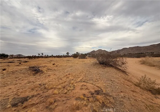 3rd image of 16252 Olema Rd, Apple Valley, CA 92307 | MLS# HD25266491