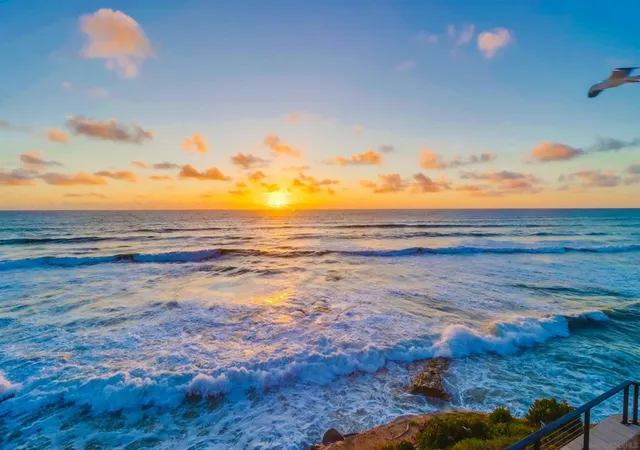 5th image of 1476 80 Pescadero Dr, San Diego, CA 92107 | MLS# 250044862SD