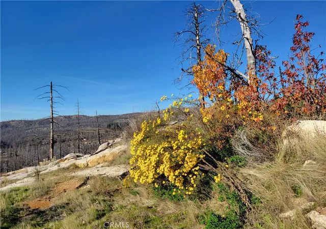 Photo 1 of Land for sale at 161 Shadow Crk Rd, Berry Creek, CA 95916 | MLS# OR25263828 | Listing updated on 2026-03-18