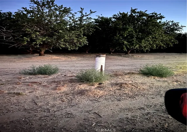 2nd image of 0 46, Lost Hills, CA 93249 | MLS# SB25269470