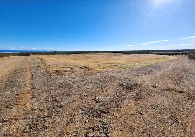 22nd image of 0 087 250 008 000, Corning, CA 96021 | MLS# SN25269116