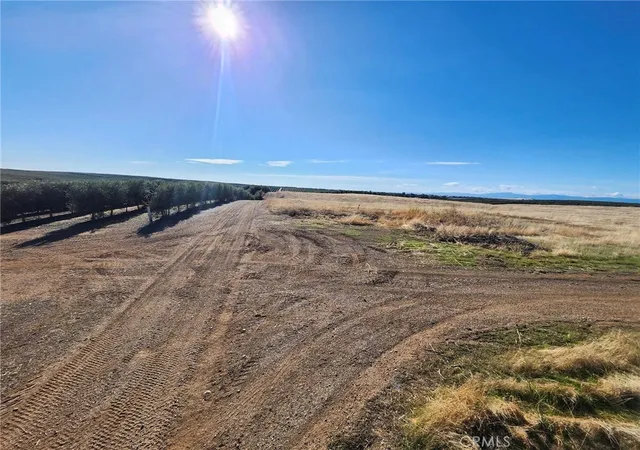 4th image of 0 087-250-008-000, Corning, CA 96021 | MLS# SN25269116