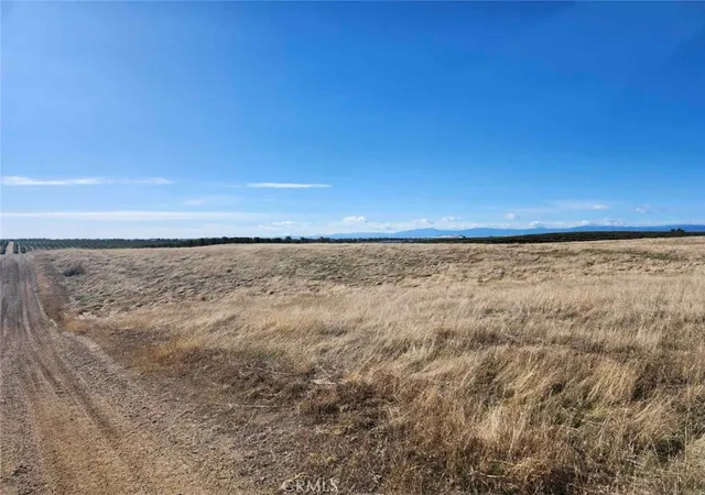 5th image of 0 087-250-008-000, Corning, CA 96021 | MLS# SN25269116