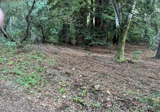 5th image of 0 Redwood Retreat Rd, Gilroy, CA 95020 | MLS# ML82028904