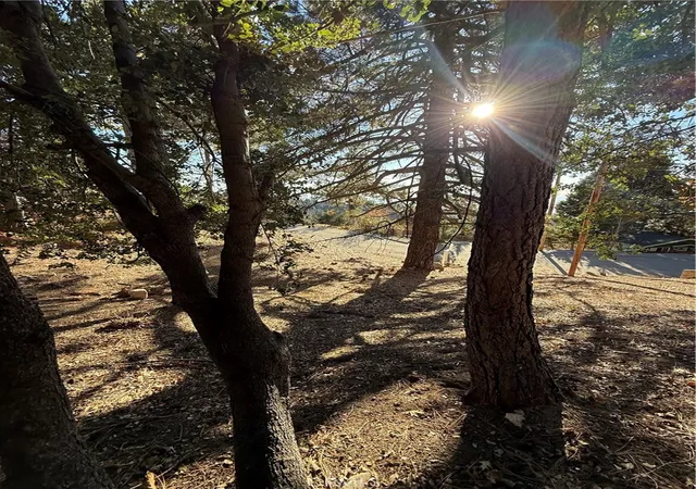 3rd image of 0 Poplar, Running Springs, CA 92382 | MLS# PW25263980