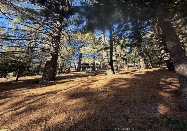 4th image of 0 Poplar, Running Springs, CA 92382 | MLS# PW25263980