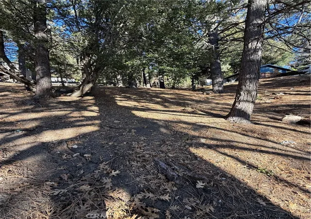 5th image of 0 Poplar, Running Springs, CA 92382 | MLS# PW25263980