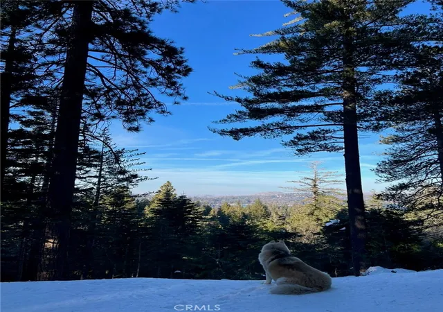 2nd image of 525 Ca 173, Lake Arrowhead, CA 92352 | MLS# IG25271978