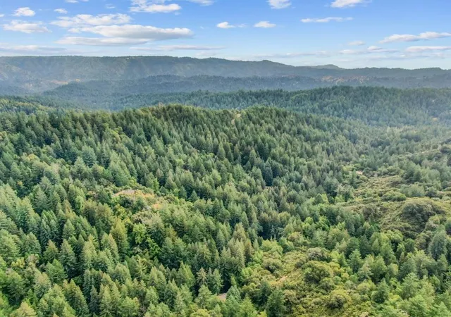 Homes for sale in Boulder Creek, CA | 975 Logan Creek Rd, Boulder Creek, CA 95006 | MLS# ML82028965