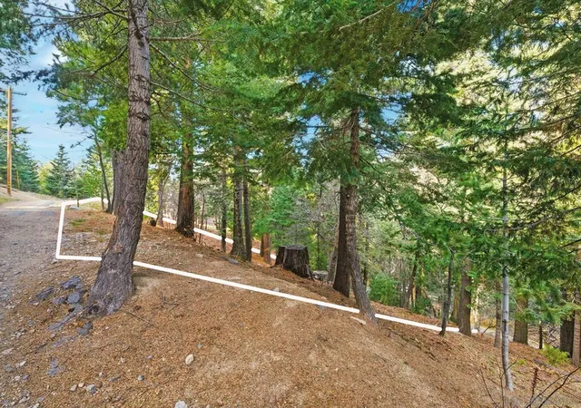 29th image of 0 State Hwy, Lake Arrowhead, CA 92352 | MLS# 250045422SD