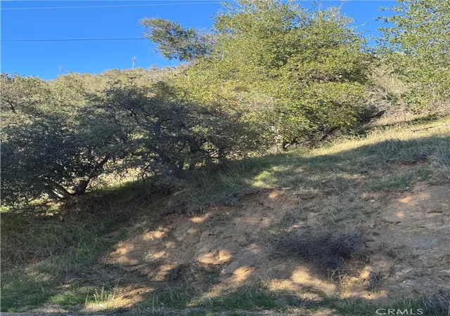 4th image of 0 Vac/san Francisquito Cyn, Green Valley, CA 91350 | MLS# SR25273223