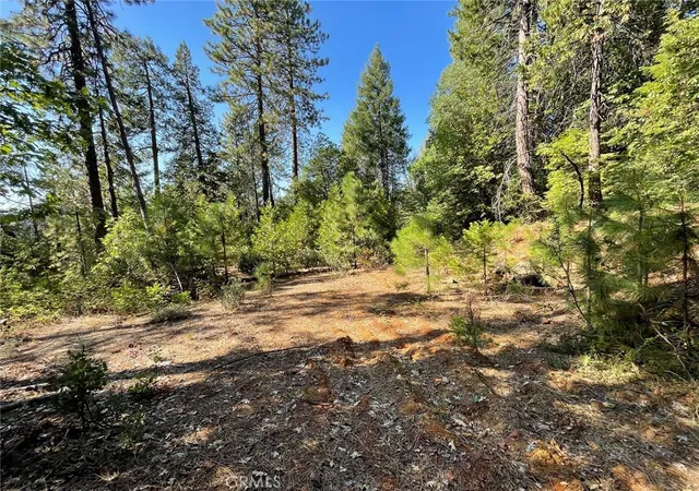 Homes for sale in Challenge, CA | 0 Forbestown, Challenge, CA 95925 | MLS# OR25273567