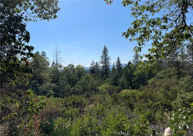 Homes for sale in Challenge, CA | 0 Forbestown, Challenge, CA 95925 | MLS# OR25273567