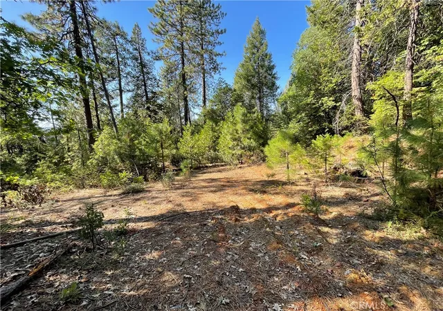 Homes for sale in Challenge, CA | 0 Forbestown, Challenge, CA 95925 | MLS# OR25273567