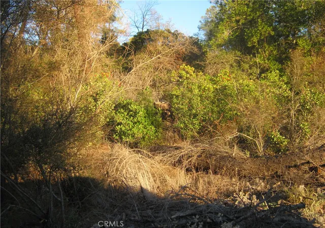 Homes for sale in Lower Lake, CA | 9000 S State Hwy 29, Lower Lake, CA 95457 | MLS# LC25273622