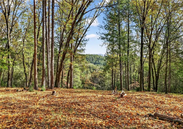 1st image of 0 Burgundy Ln, Forest Ranch, CA 95942 | MLS# SN25270403