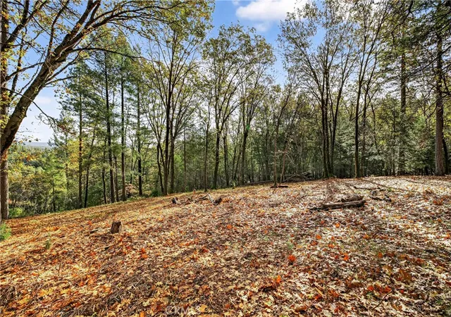 2nd image of 0 Burgundy Ln, Forest Ranch, CA 95942 | MLS# SN25270403