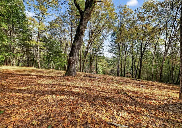 image of 0 Burgundy Ln, Forest Ranch, CA 95942 | MLS# SN25270403