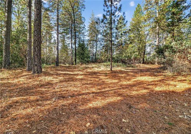 image of 0 Burgundy Ln, Forest Ranch, CA 95942 | MLS# SN25270403