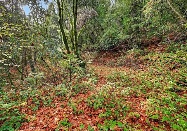 image of 0 Burgundy Ln, Forest Ranch, CA 95942 | MLS# SN25270403