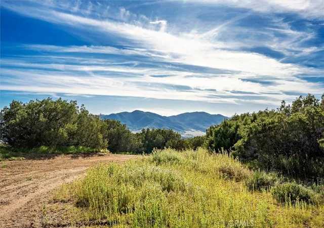 1st image of 48725 Shallow Springs Road N, Leona Valley, CA 93551 | MLS# SR25274437
