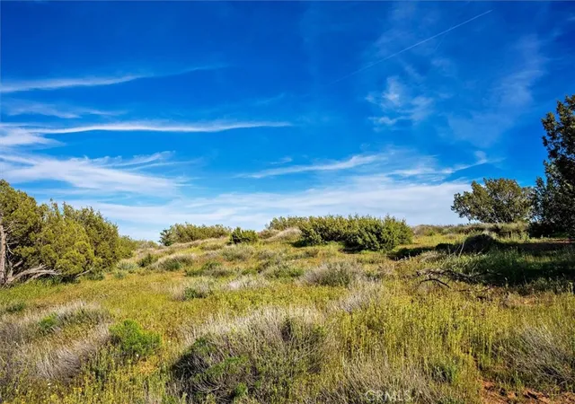 2nd image of 48725 Shallow Springs Road N, Leona Valley, CA 93551 | MLS# SR25274437