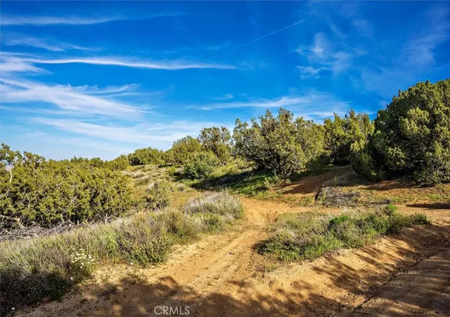 3rd image of 48725 Shallow Springs Road N, Leona Valley, CA 93551 | MLS# SR25274437