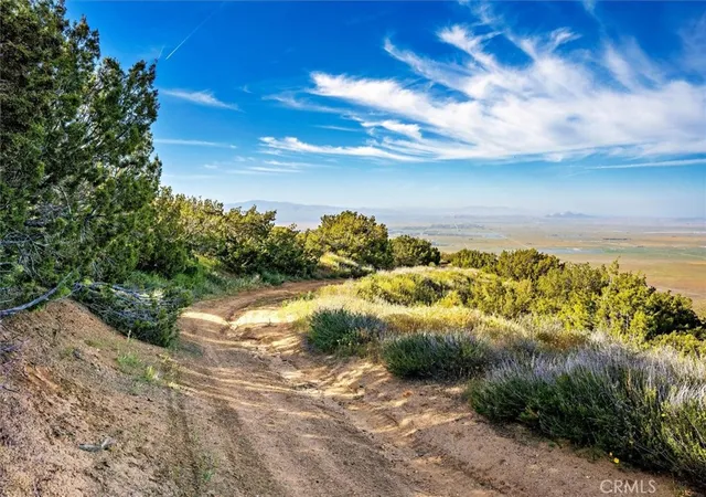 4th image of 48725 Shallow Springs Road N, Leona Valley, CA 93551 | MLS# SR25274437