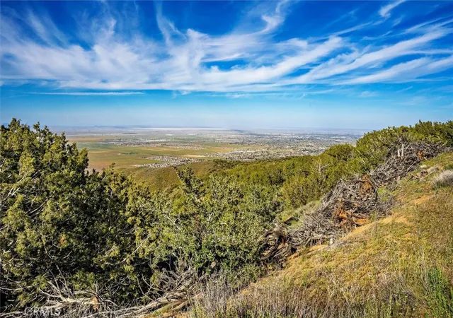 5th image of 48725 Shallow Springs Road N, Leona Valley, CA 93551 | MLS# SR25274437