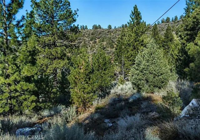 Homes for sale in Pine Mountain Club, CA | 15113 Chestnut Dr, Pine Mountain Club, CA 93222 | MLS# SR25274749