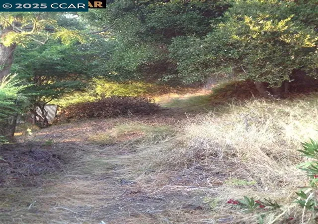 3rd image of 0 Alley Way, Oakland, CA 94611 | MLS# 41119108