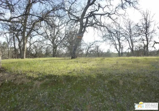 4th image of 17333 Wagon Wheel Dr, Corning, CA 96021 | MLS# 25628677PS