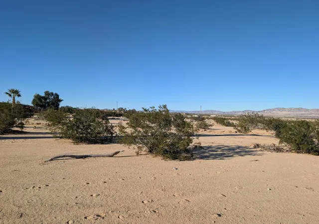 Homes for sale in 29 Palms, CA | 0 Indian Trail Trail, 29 Palms, CA 92277 | MLS# 219140030DA