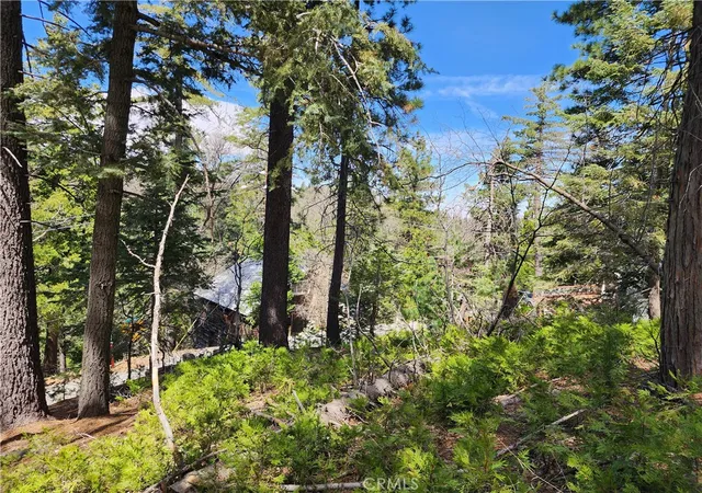 Homes for sale in Twin Peaks, CA | 586 Rose, Twin Peaks, CA 92391 | MLS# IG25276501