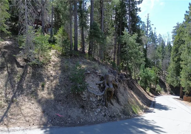 Homes for sale in Twin Peaks, CA | 586 Rose, Twin Peaks, CA 92391 | MLS# IG25276501
