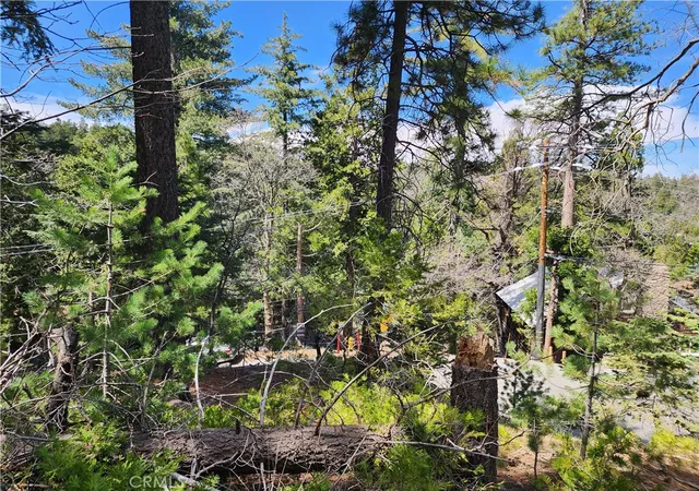 Homes for sale in Twin Peaks, CA | 586 Rose, Twin Peaks, CA 92391 | MLS# IG25276501