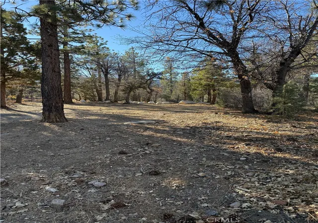Homes for sale in Sugarloaf, CA | 0 San Bernardino, Sugarloaf, CA 92386 | MLS# IG25277280
